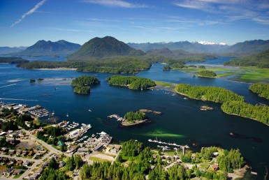Sales Growth in Ucluelet & Tofino